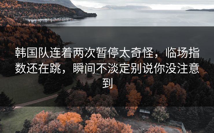 韩国队连着两次暂停太奇怪，临场指数还在跳，瞬间不淡定别说你没注意到
